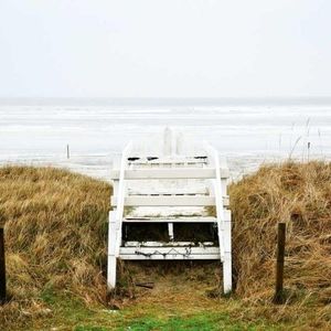 Meet your Posher, Ronald